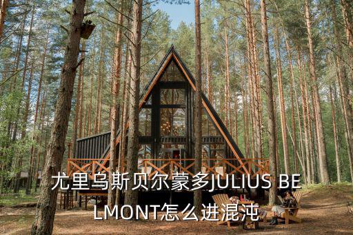 尤里乌斯贝尔蒙多JULIUS BELMONT怎么进混沌