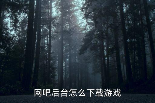 网吧后台怎么下载游戏