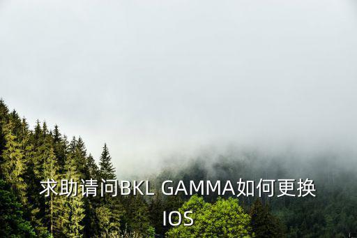 求助请问BKL GAMMA如何更换IOS