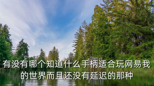 有没有哪个知道什么手柄适合玩网易我的世界而且还没有延迟的那种