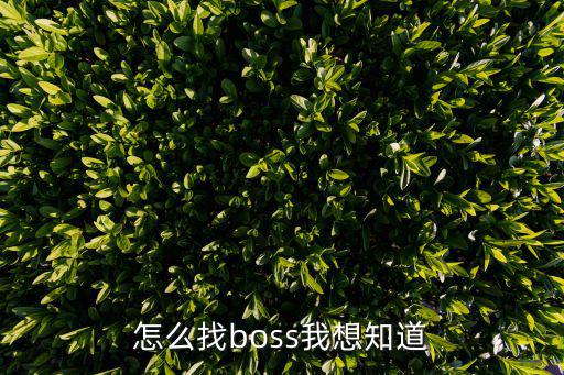 怎么找boss我想知道