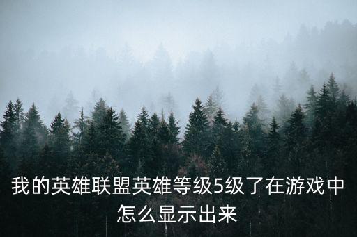 我的英雄联盟英雄等级5级了在游戏中怎么显示出来