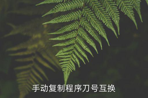 手动复制程序刀号互换