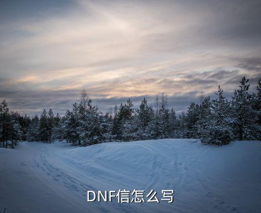 DNF信怎么写