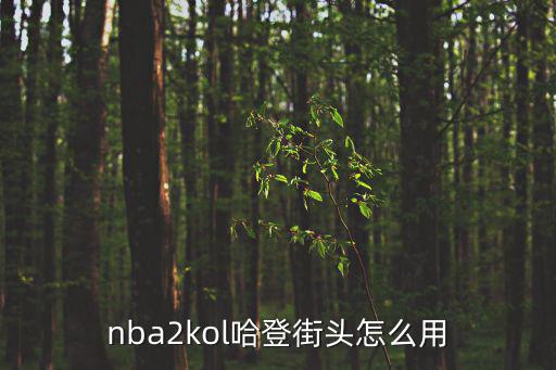 nba2kol哈登街头怎么用