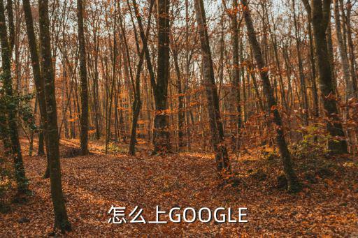 怎么上GOOGLE