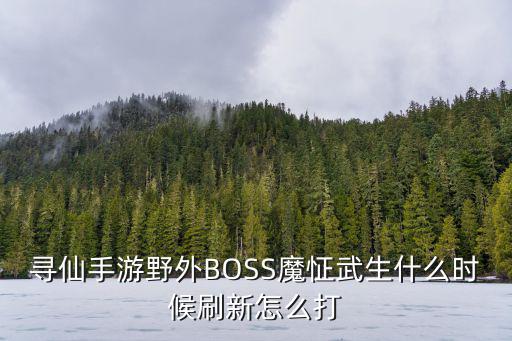 寻仙手游龙珠怎么打，寻仙手游野外BOSS魔怔武生什么时候刷新怎么打