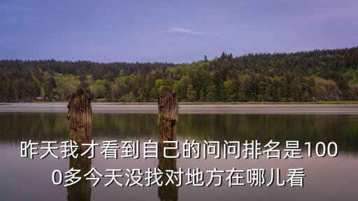 昨天我才看到自己的问问排名是1000多今天没找对地方在哪儿看