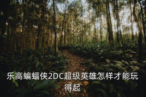 乐高蝙蝠侠2DC超级英雄怎样才能玩得起