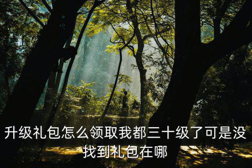 升级礼包怎么领取我都三十级了可是没找到礼包在哪