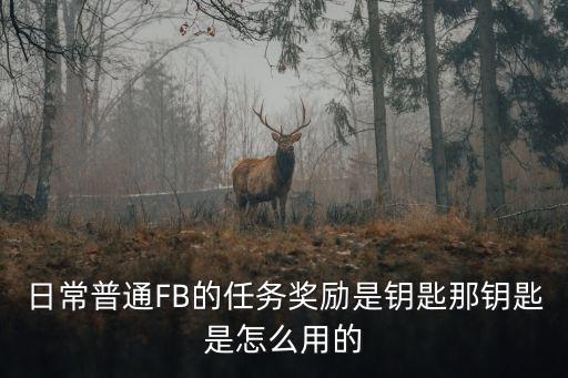 日常普通FB的任务奖励是钥匙那钥匙是怎么用的