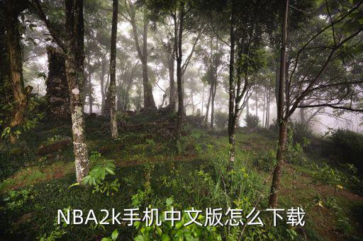 NBA2k手机中文版怎么下载