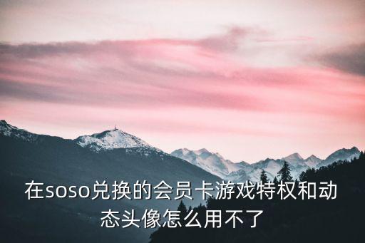 在soso兑换的会员卡游戏特权和动态头像怎么用不了