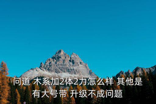 问道 木系加2体2力怎么样 其他是有大号带 升级不成问题