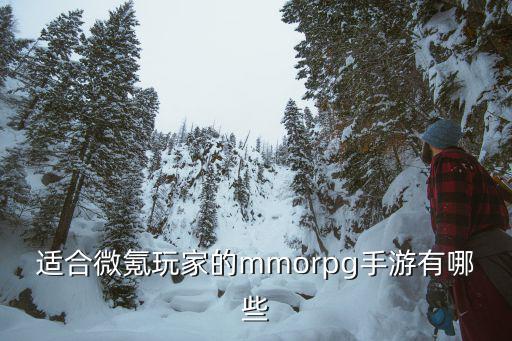 适合微氪玩家的mmorpg手游有哪些