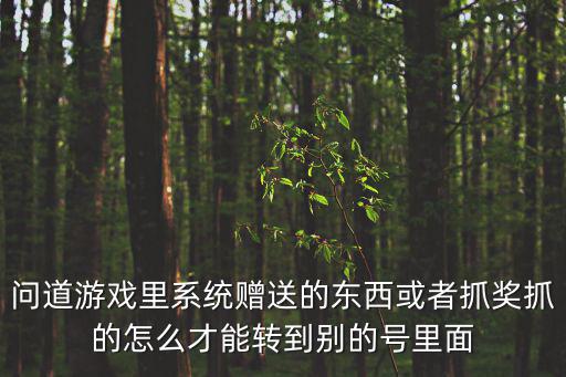 问道游戏里系统赠送的东西或者抓奖抓的怎么才能转到别的号里面