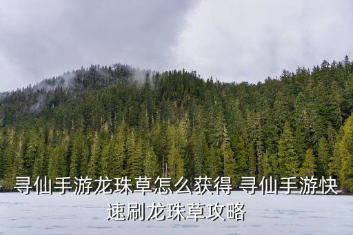 寻仙手游龙珠草怎么获得 寻仙手游快速刷龙珠草攻略