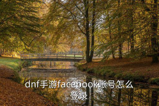 dnf手游facebook账号怎么登录