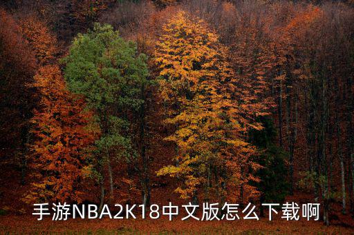 手游NBA2K18中文版怎么下载啊