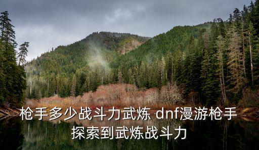 枪手多少战斗力武炼 dnf漫游枪手探索到武炼战斗力