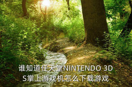 谁知道任天堂NINTENDO 3DS掌上游戏机怎么下载游戏