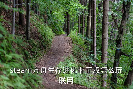 方舟手游非官方服务器怎么调模式，steam方舟生存进化非正版怎么玩联网