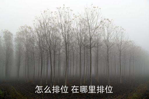 怎么排位 在哪里排位