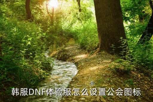 韩服DNF体验服怎么设置公会图标