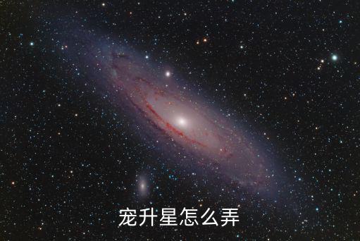 宠升星怎么弄