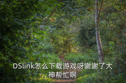 DSlink怎么下载游戏呀谢谢了大神帮忙啊