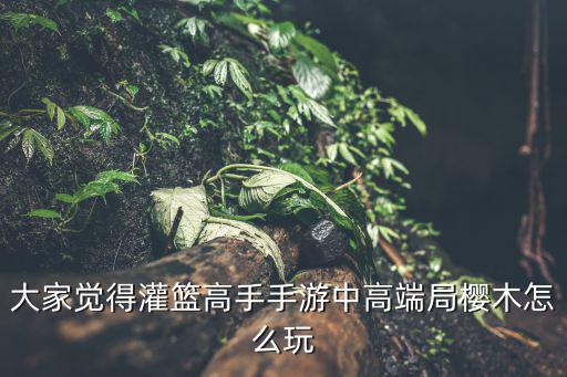 大家觉得灌篮高手手游中高端局樱木怎么玩