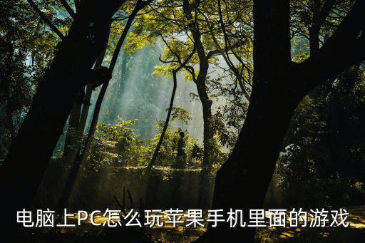 电脑上PC怎么玩苹果手机里面的游戏