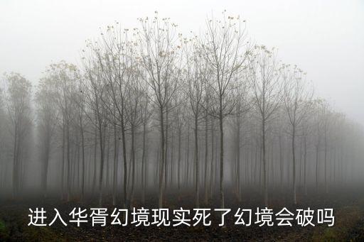 进入华胥幻境现实死了幻境会破吗