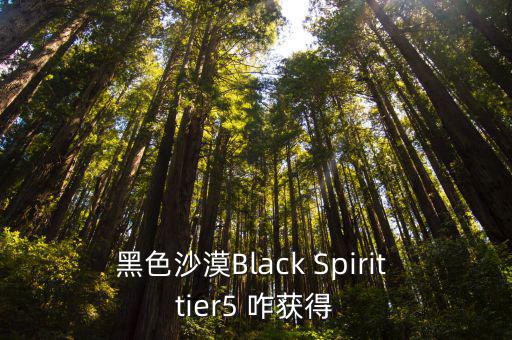 黑色沙漠Black Spirit tier5 咋获得