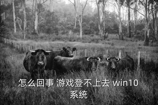 怎么回事 游戏登不上去 win10系统