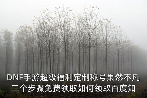 DNF手游超级福利定制称号果然不凡三个步骤免费领取如何领取百度知