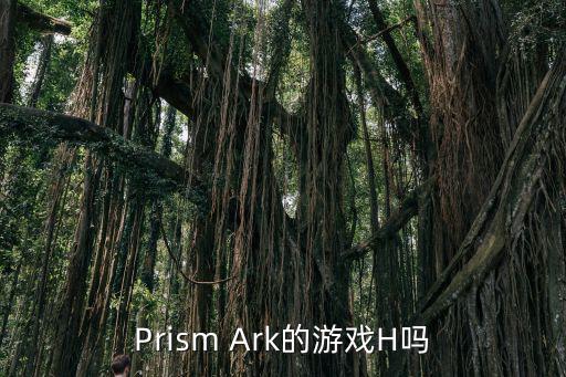 Prism Ark的游戏H吗