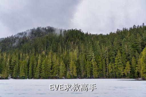 eve手游远古遗骸怎么用，EVE求教高手