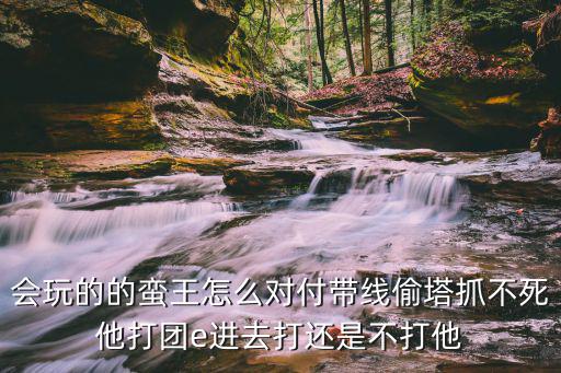 会玩的的蛮王怎么对付带线偷塔抓不死他打团e进去打还是不打他