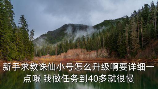 新手求教诛仙小号怎么升级啊要详细一点哦 我做任务到40多就很慢