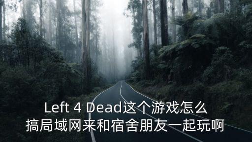 Left 4 Dead这个游戏怎么搞局域网来和宿舍朋友一起玩啊