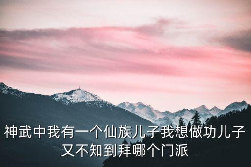 神武中我有一个仙族儿子我想做功儿子又不知到拜哪个门派