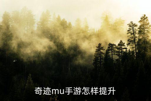 奇迹手游战斗力怎么加，奇迹mu手游怎样提升