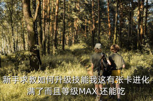 新手求教如何升级技能我这有张卡进化满了而且等级MAX 还能吃