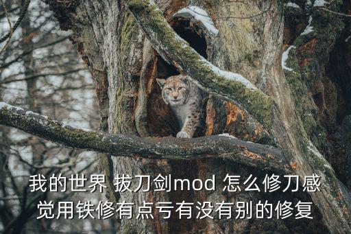 我的世界 拔刀剑mod 怎么修刀感觉用铁修有点亏有没有别的修复