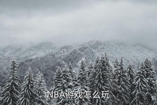 NBA游戏怎么玩