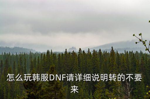 怎么玩韩服DNF请详细说明转的不要来