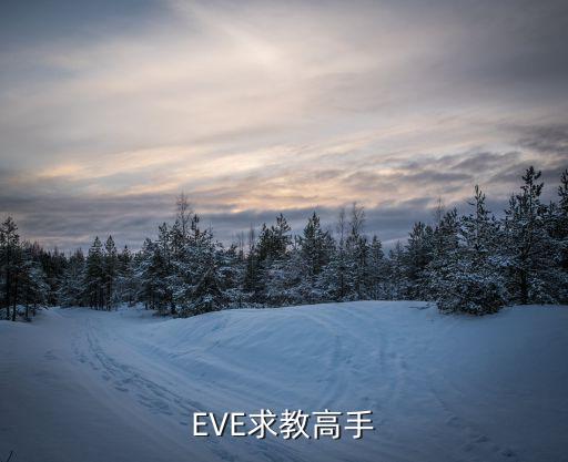 EVE求教高手