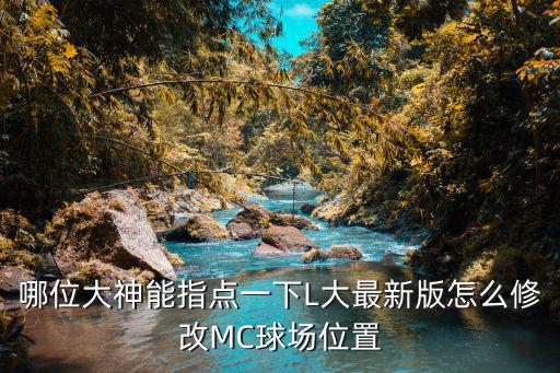 哪位大神能指点一下L大最新版怎么修改MC球场位置