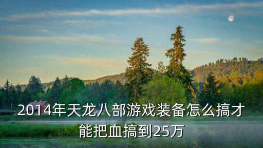 2014年天龙八部游戏装备怎么搞才能把血搞到25万